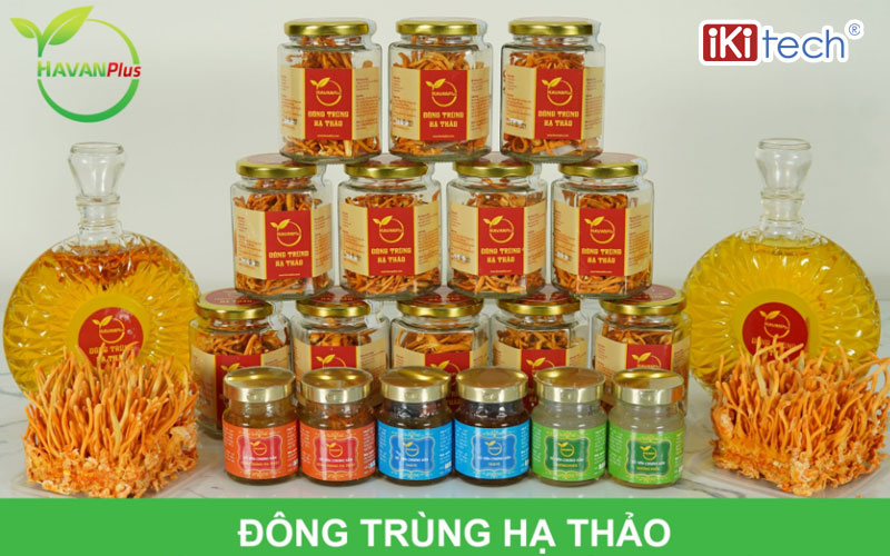 App bán hàng đông trùng hạ thảo